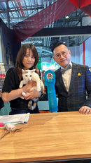 DD Pets & Cats Malaysia  