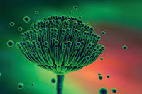 Technology feature 5