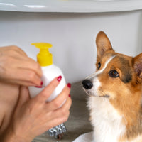 Technology feature 4